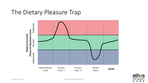EC 01 [Recorded class] - The Pleasure Trap